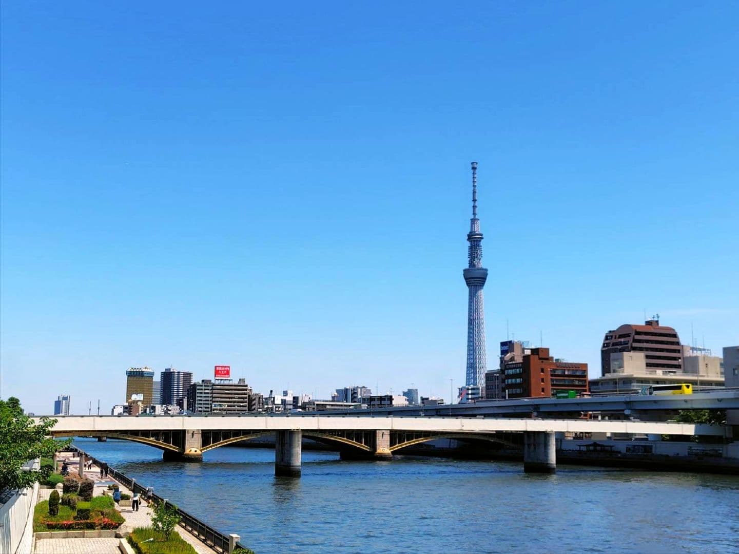 蔵前専用橋/全景/右岸下流側より