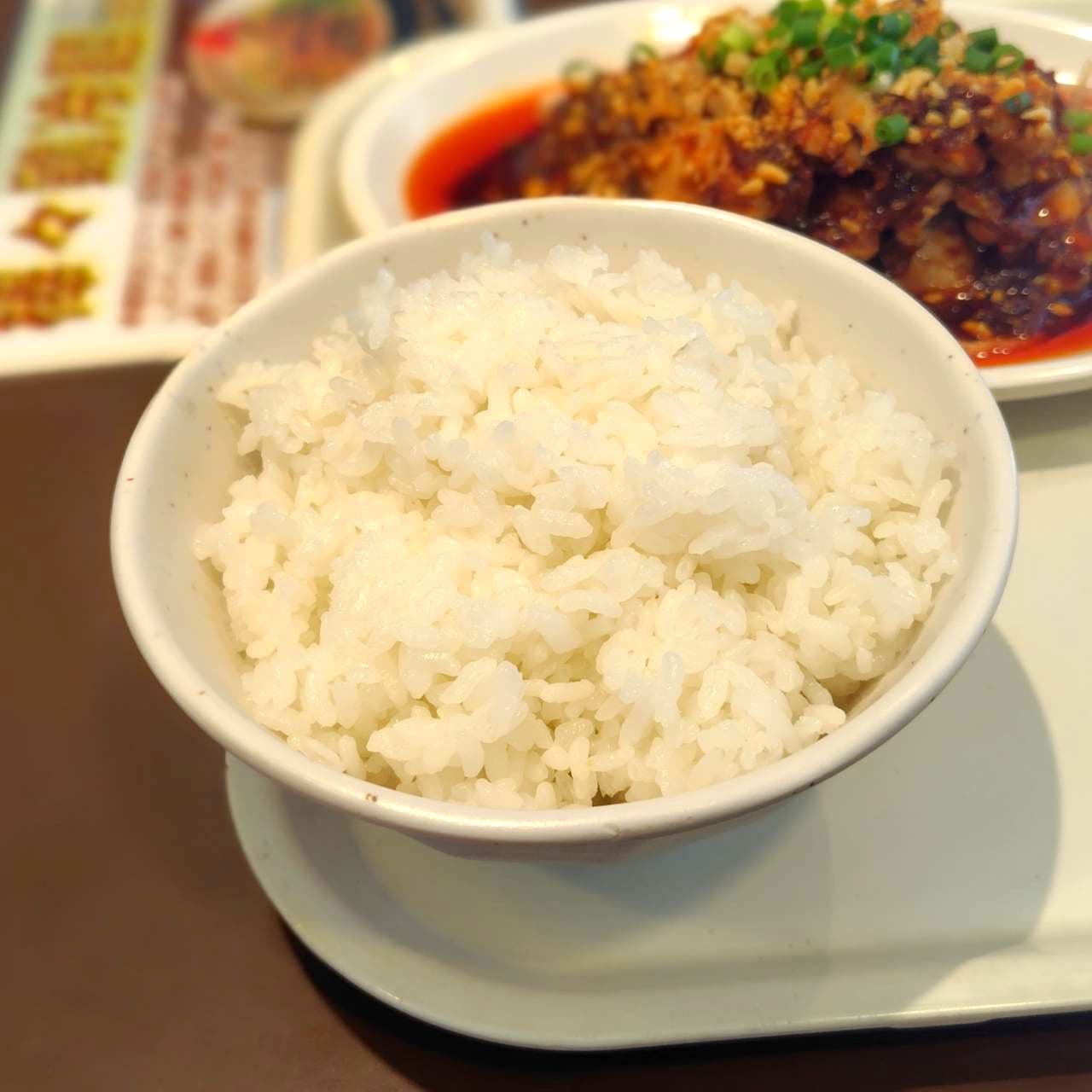 ご飯/成都館/東京都台東区東上野3-14-14
