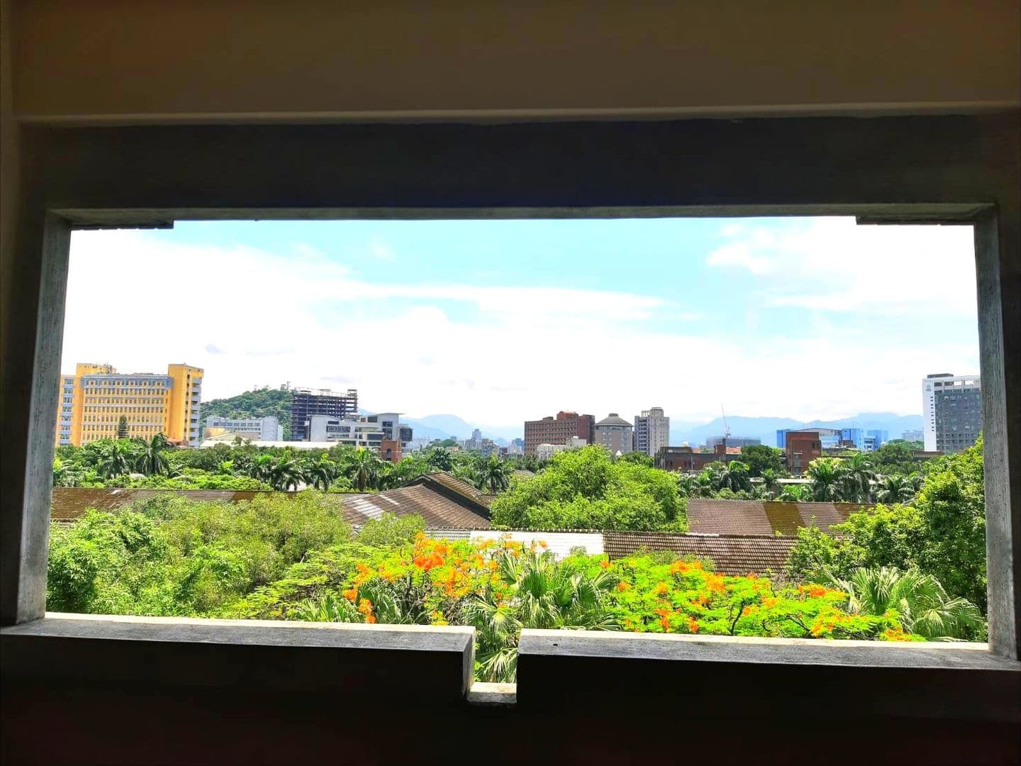 台湾大学のキャンパス