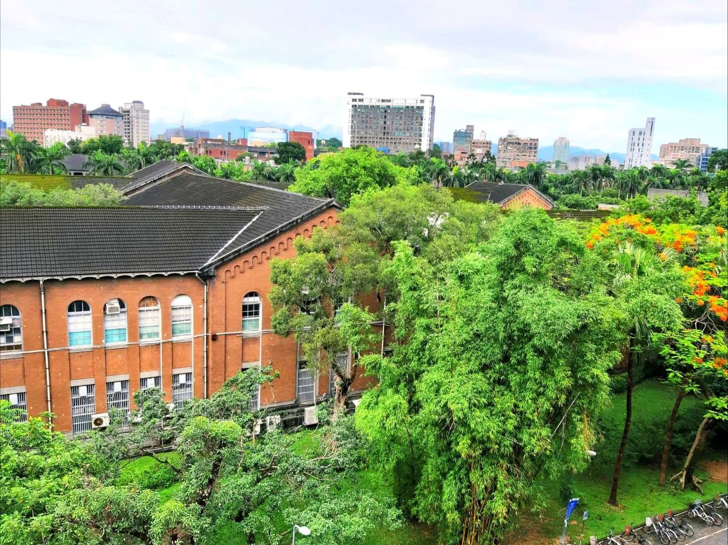 台湾大学のキャンパス