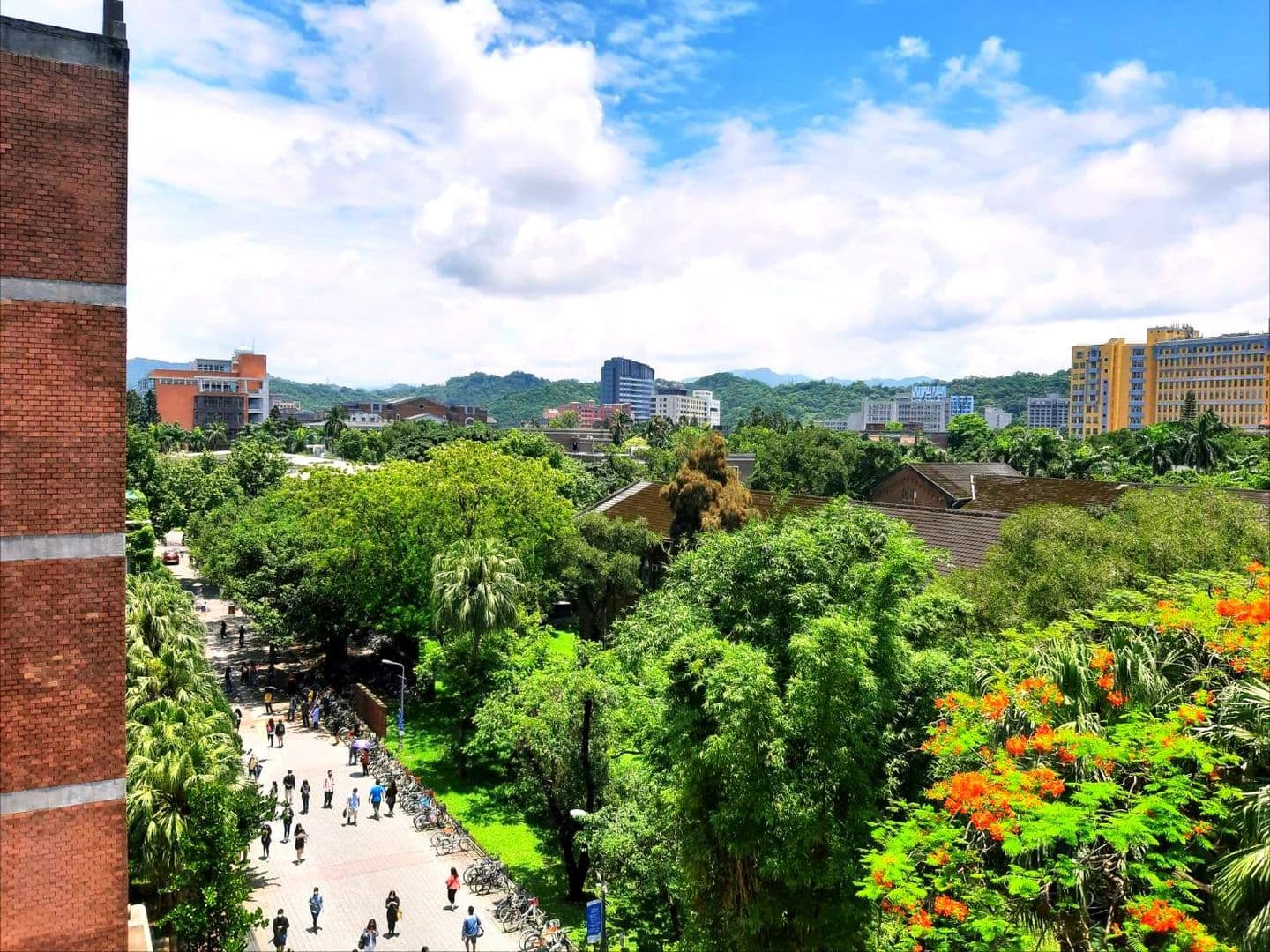 台湾大学内TOEIC会場廊下からの眺め / 台湾台北市内 / 2020年5月 ＊キャンパス内への出入りは誰でも自由で、日曜日(TOEICの開催曜日)は関係者以外の方が多いようだ。