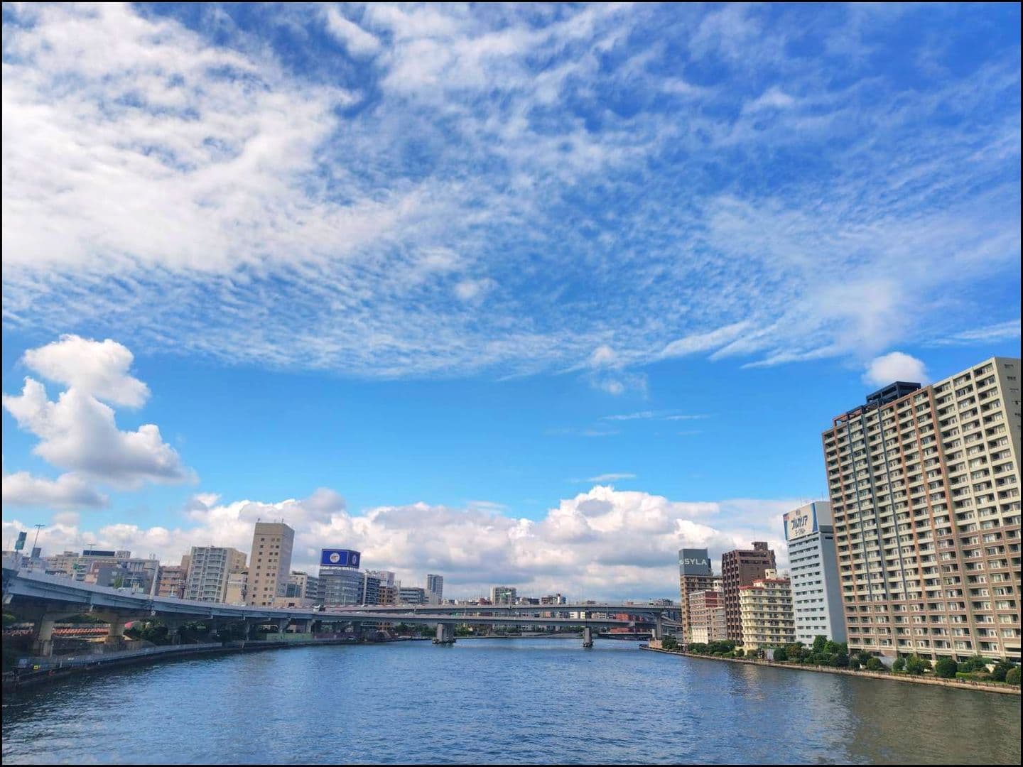 首都高速6号向島線隅田川道路橋(新大橋より撮影)