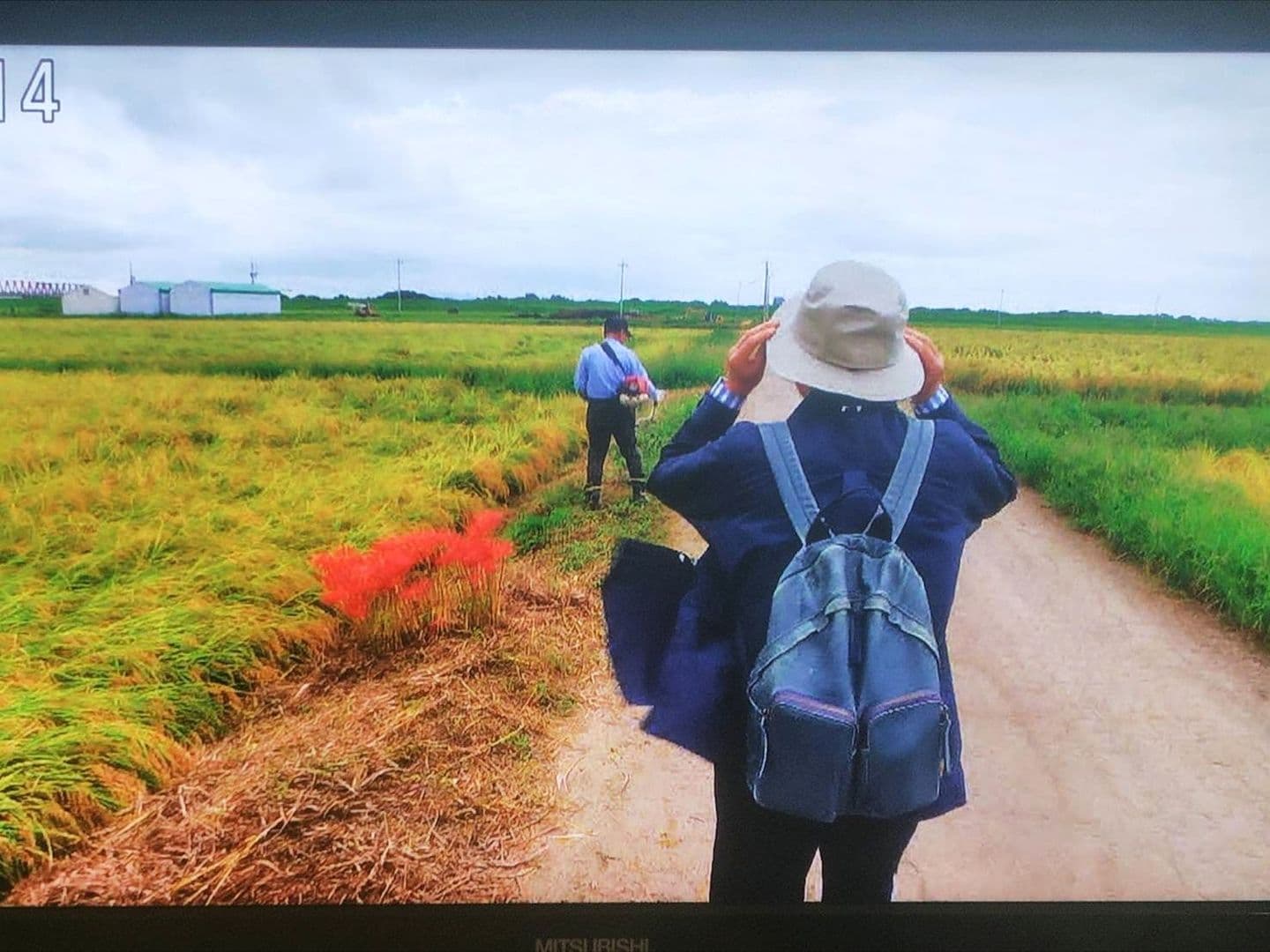 NHK/小さな旅/千葉県の「田中調節池」
