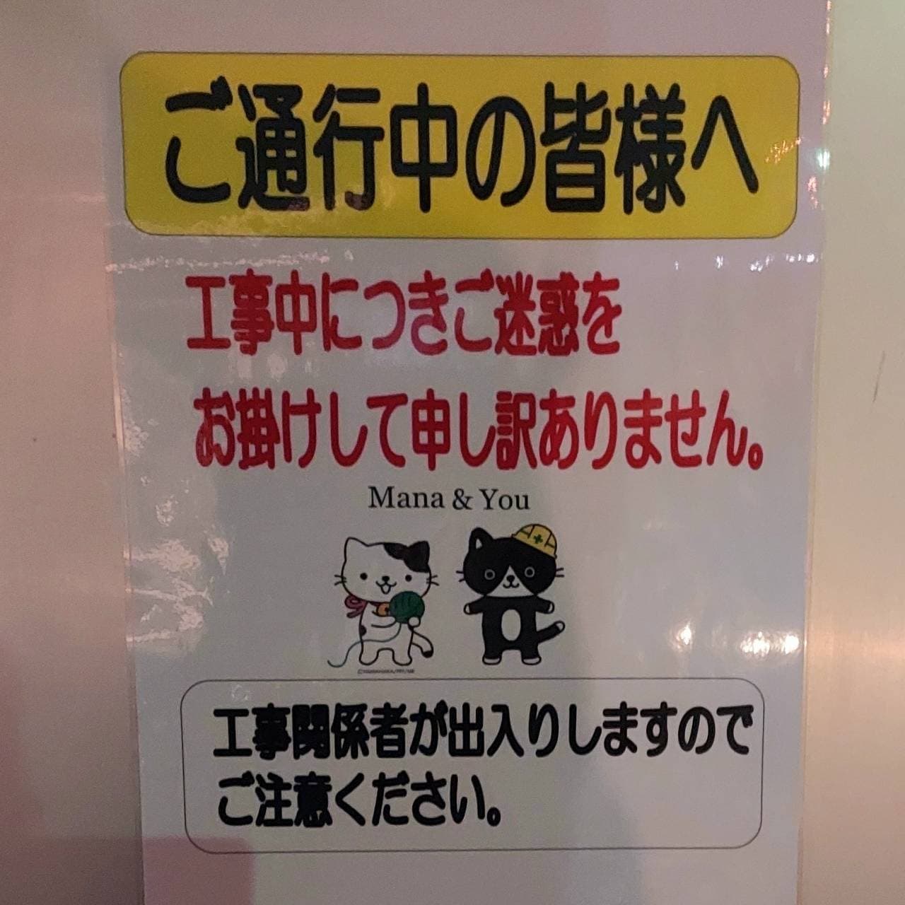 (株)松尾工務店/猫/Mana & You