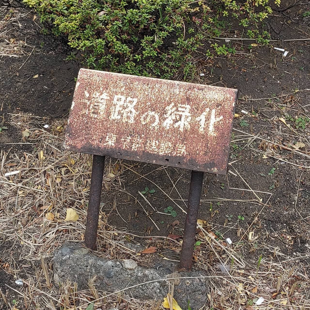 道路の緑化/東京都建設局/八重洲通り/宝町ランプ出口