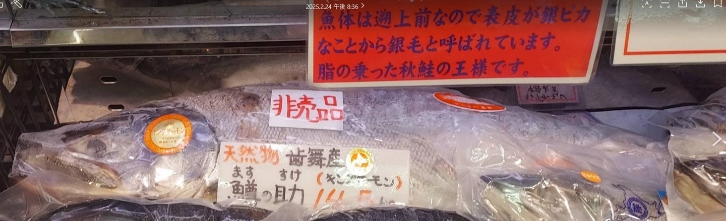 鱒の助＝キングサーモン/吉池