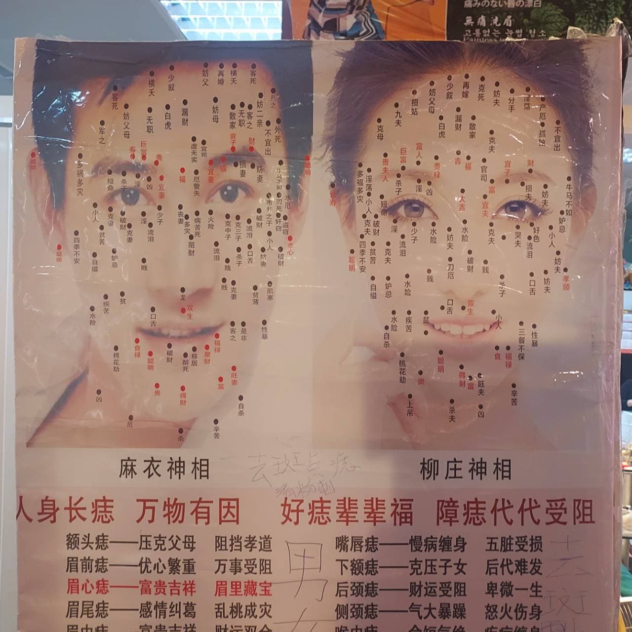 ホクロ鑑定の看板/台北龍山寺駅地下/占い街