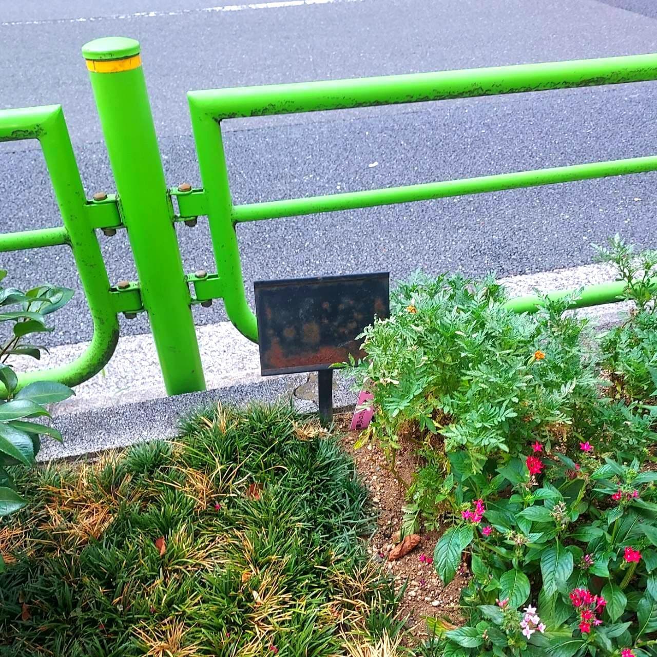 メッセージが消えた花壇の表示/京橋周辺