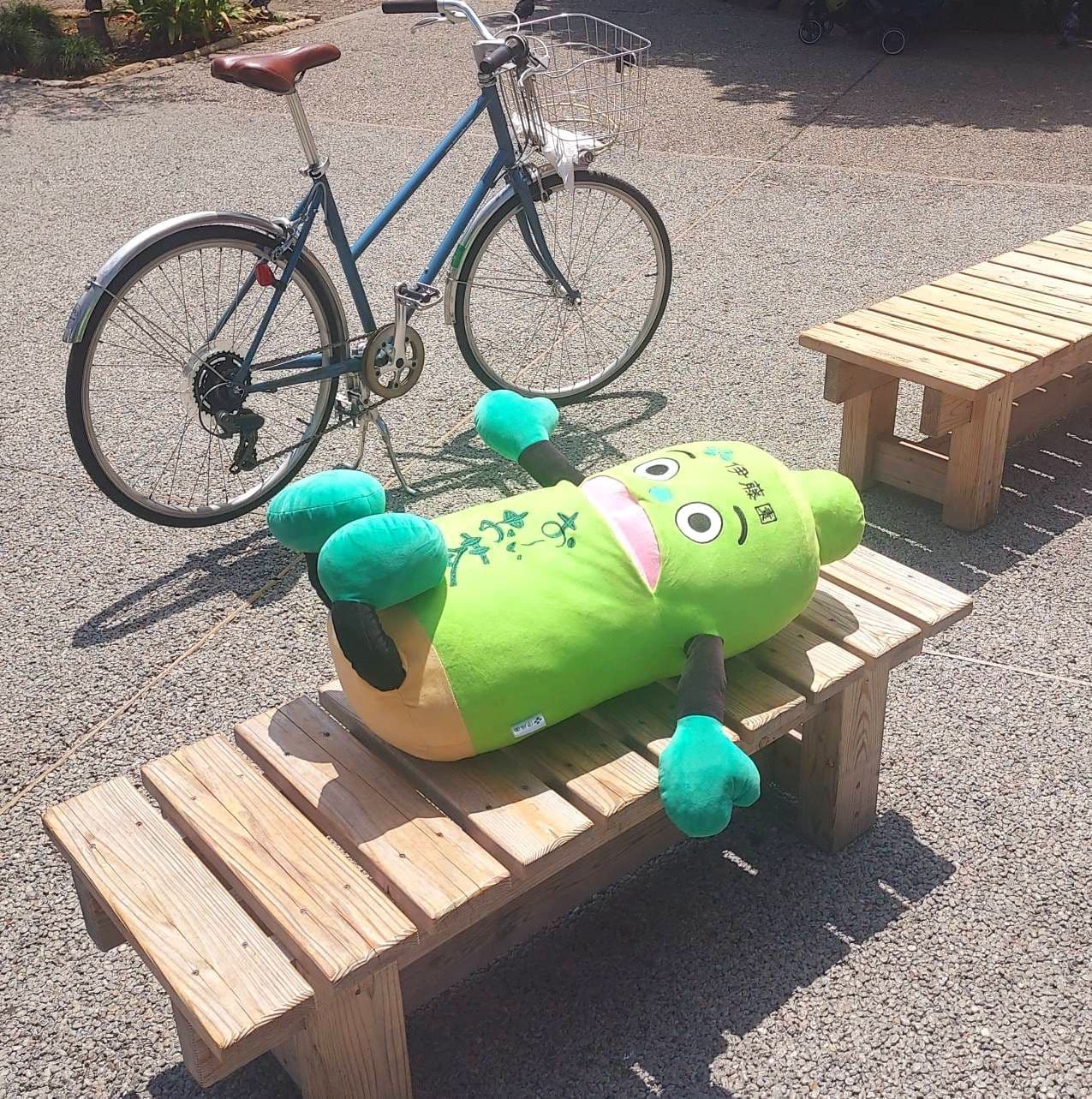 おーい お茶くん(仰向け)/浅草寺内ポップアップストア