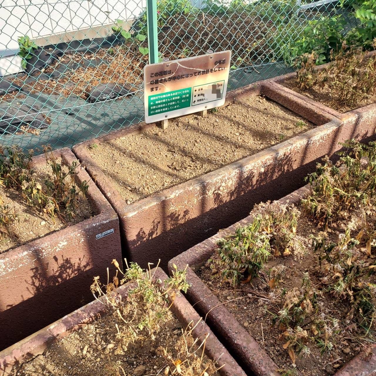 花がない花壇/隅田川テラス/浅草橋右岸(西岸)