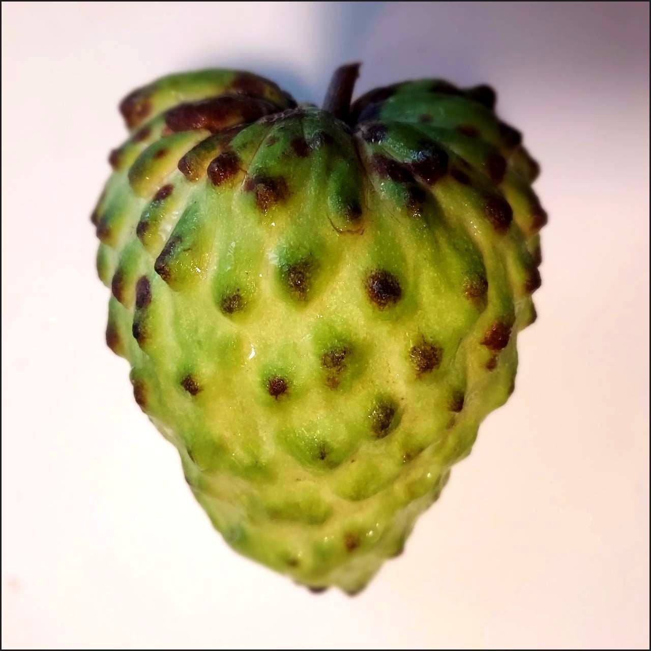 釈迦頭/台湾にて