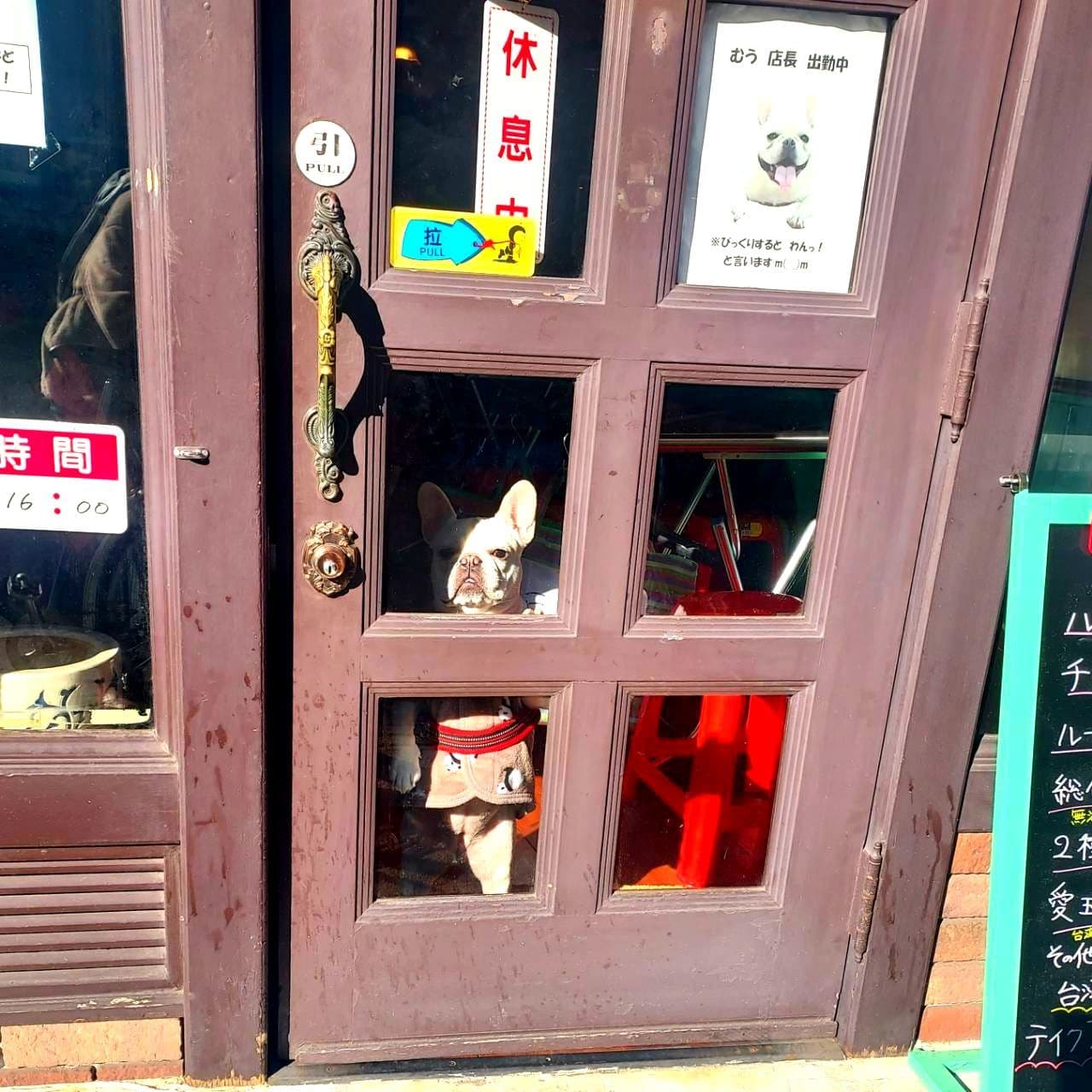 むう店長/美豆花/台東区駒形